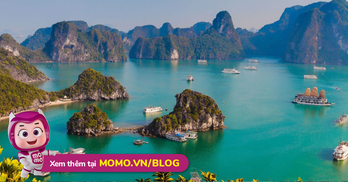 Kinh nghiệm du lịch Quảng Ninh tự túc mới nhất 2022