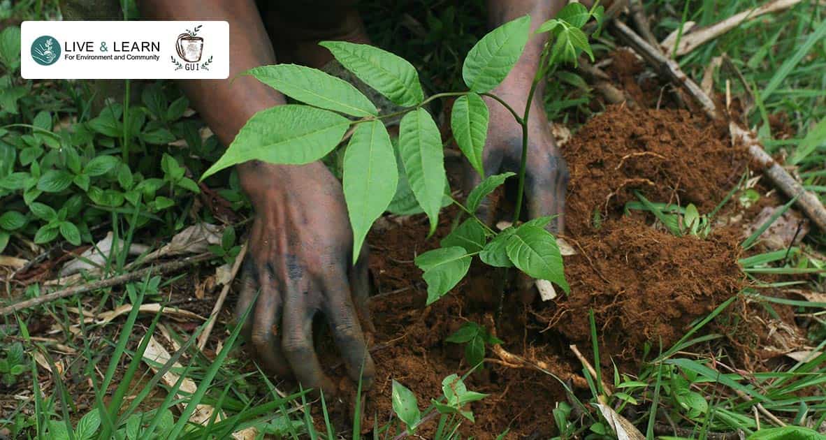 Chung tay đóng góp để trồng cây bản địa và gây vườn rừng tại bản Cát Cát, Sapa