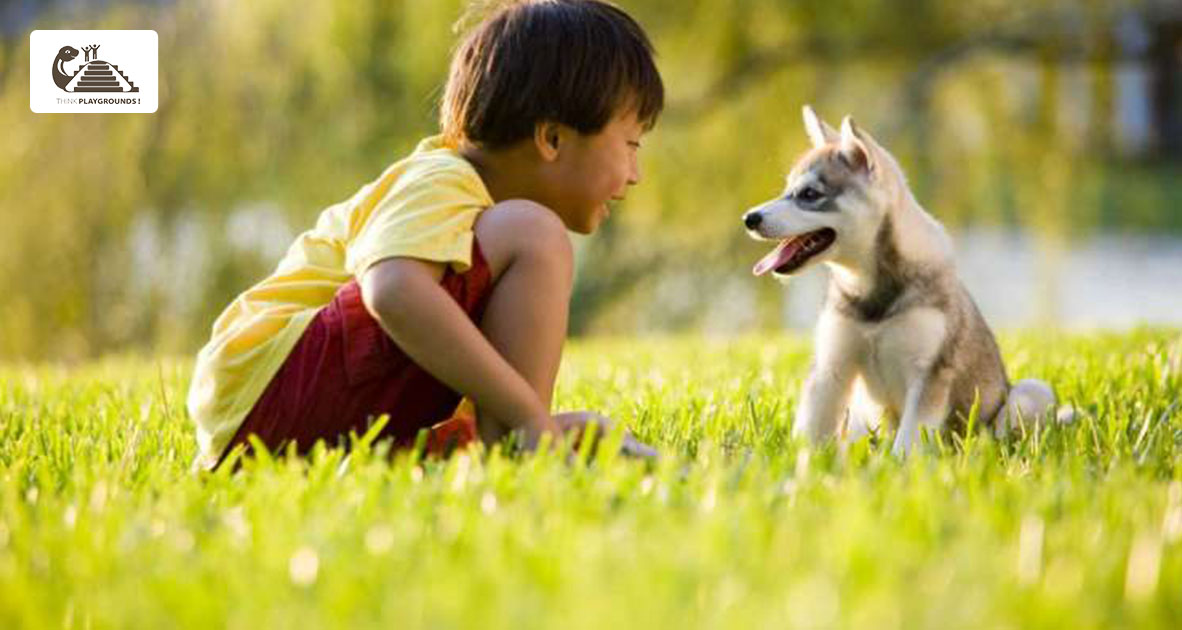 Chung tay quyên góp kiến tạo công viên đầu tiên dành cho cộng đồng nuôi chó tại Công viên xanh Yên Sở