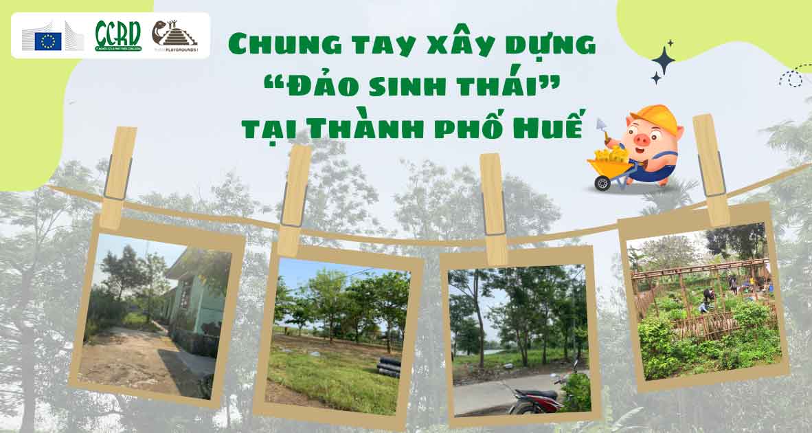 Cùng Think Playgrounds, CCRD quyên góp Heo Vàng xây dựng “Đảo sinh thái” tại Thành phố Huế