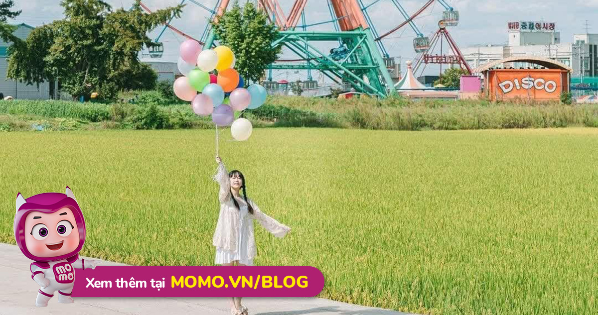 Kinh nghiệm du lịch Hàn Quốc tự túc chi tiết nhất, cùng MoMo khám phá xứ sở Kimchi