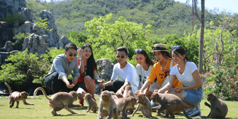 Trải nghiệm cho khỉ ăn tại đảo Hòn Lao Nha Trang