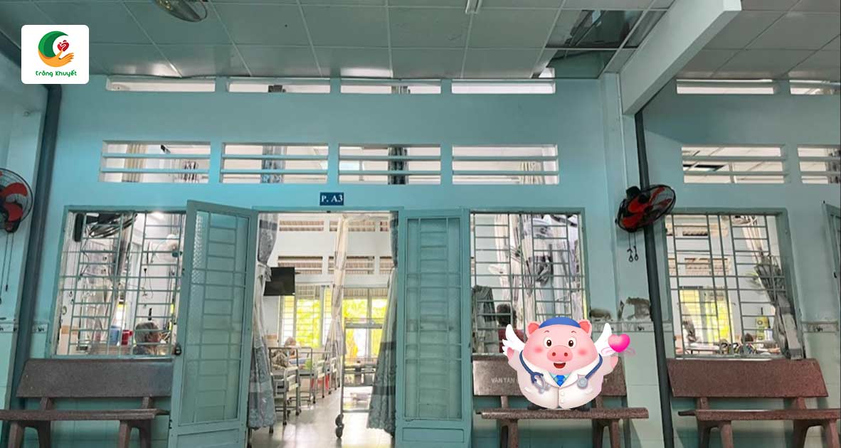 Góp Heo Vàng cùng Trăng Khuyết thay tôn mới bảo vệ mái nhà ấm cúng cho 110 cụ già neo đơn trên 70 tuổi