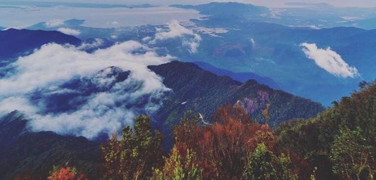 Du lịch vườn quốc gia Bạch Mã cùng MoMo - khám phá lá phổi xanh dịu mát giữa xứ Huế