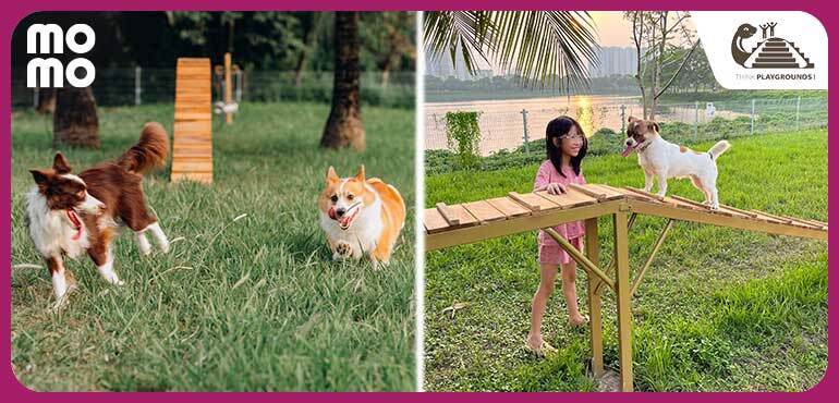 Công viên dành riêng cho thú cưng đầu tiên tại Hà Nội